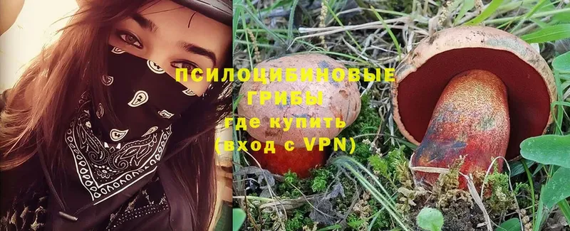 Галлюциногенные грибы ЛСД  OMG ТОР  Куровское 